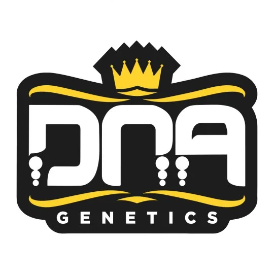 dna 1