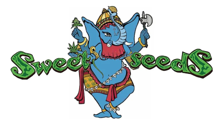 sweetseeds 1